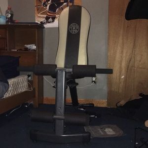Golds Gym Workout Seat